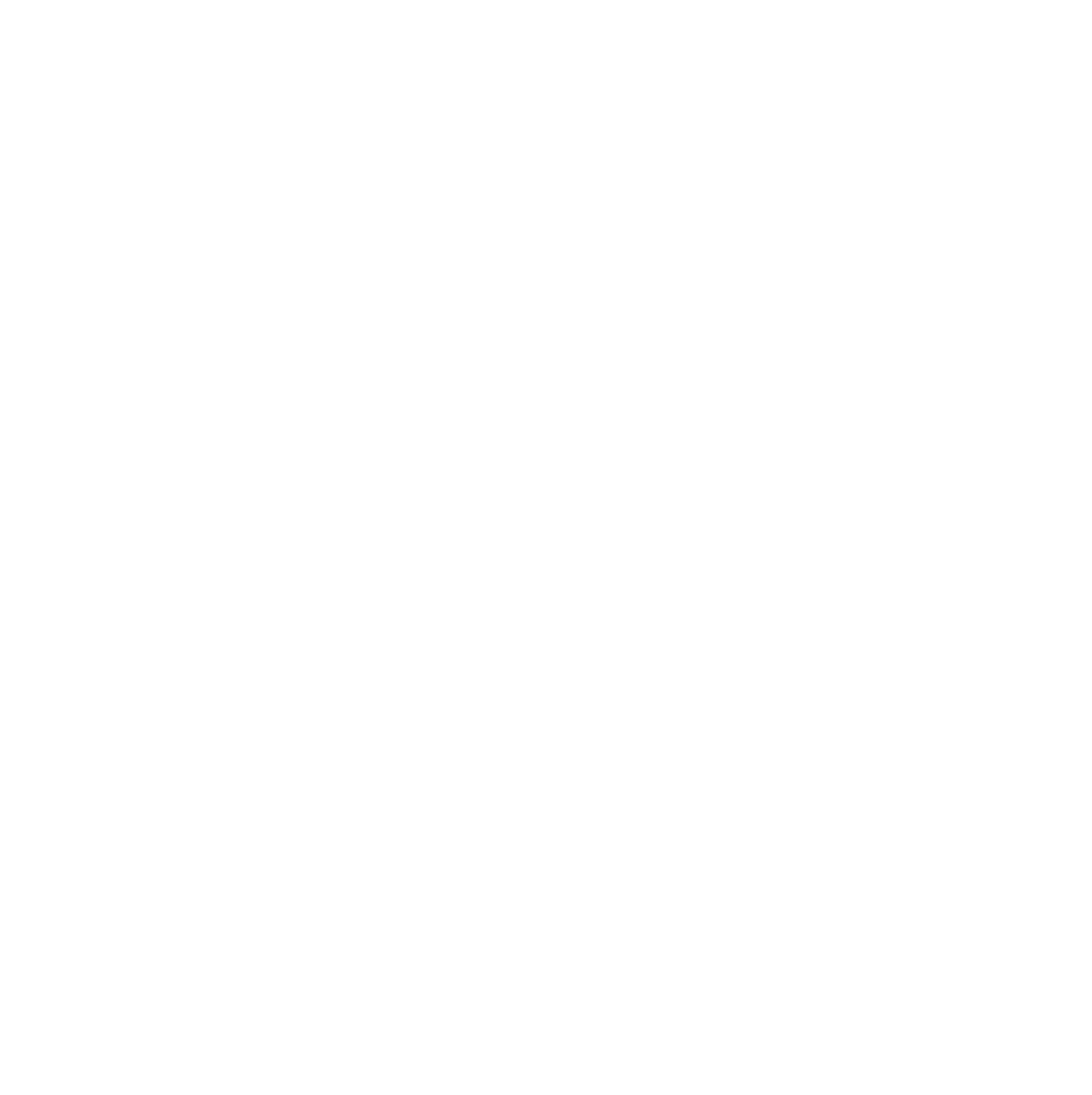 Salt Branch Technology Group